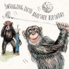 Brand New Shenanigans Launching