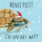 Christmas Shenanigans