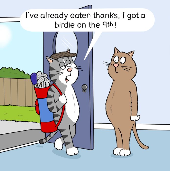 Funny Cards