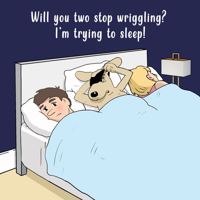 Funny Cards