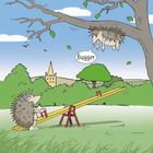 Funny Cards