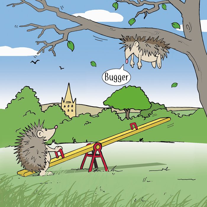 Funny Cards