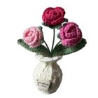 Crochet Flower Bouquet & Pots