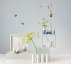 Rader Vases