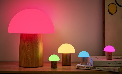Alice Mushroom Lamp