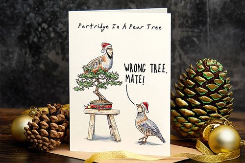 Partridge In A Pear Tree