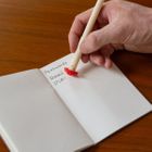 ERASABLE MUSHROOM PEN