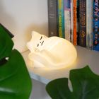Cozy Cat Light