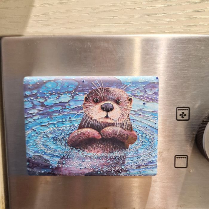 Ceramic Magnets
