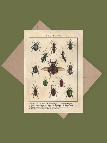 Beetles of the UK greetings card