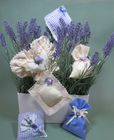 Lavender & Lace