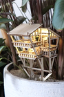 Tropical Lookout