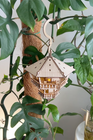 Treetop Hideaway
