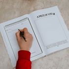 One Year Wiser - The Birthday Interview Book