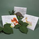 Accents of Nature Range