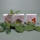Accents of Nature Range