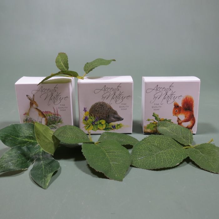 Accents of Nature Range