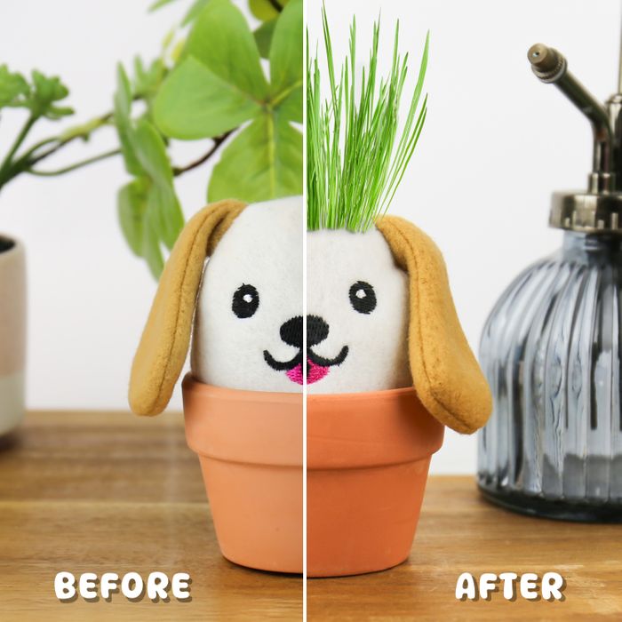 GROW PALS - DOG AW25