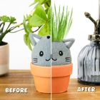 GROW PALS - CAT AW25