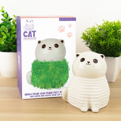 CAT CHIA PLANTER AW25