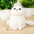 CAT CHIA PLANTER AW25
