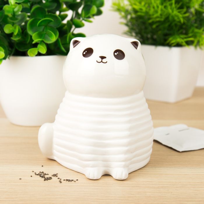 CAT CHIA PLANTER AW25