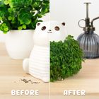 CAT CHIA PLANTER AW25