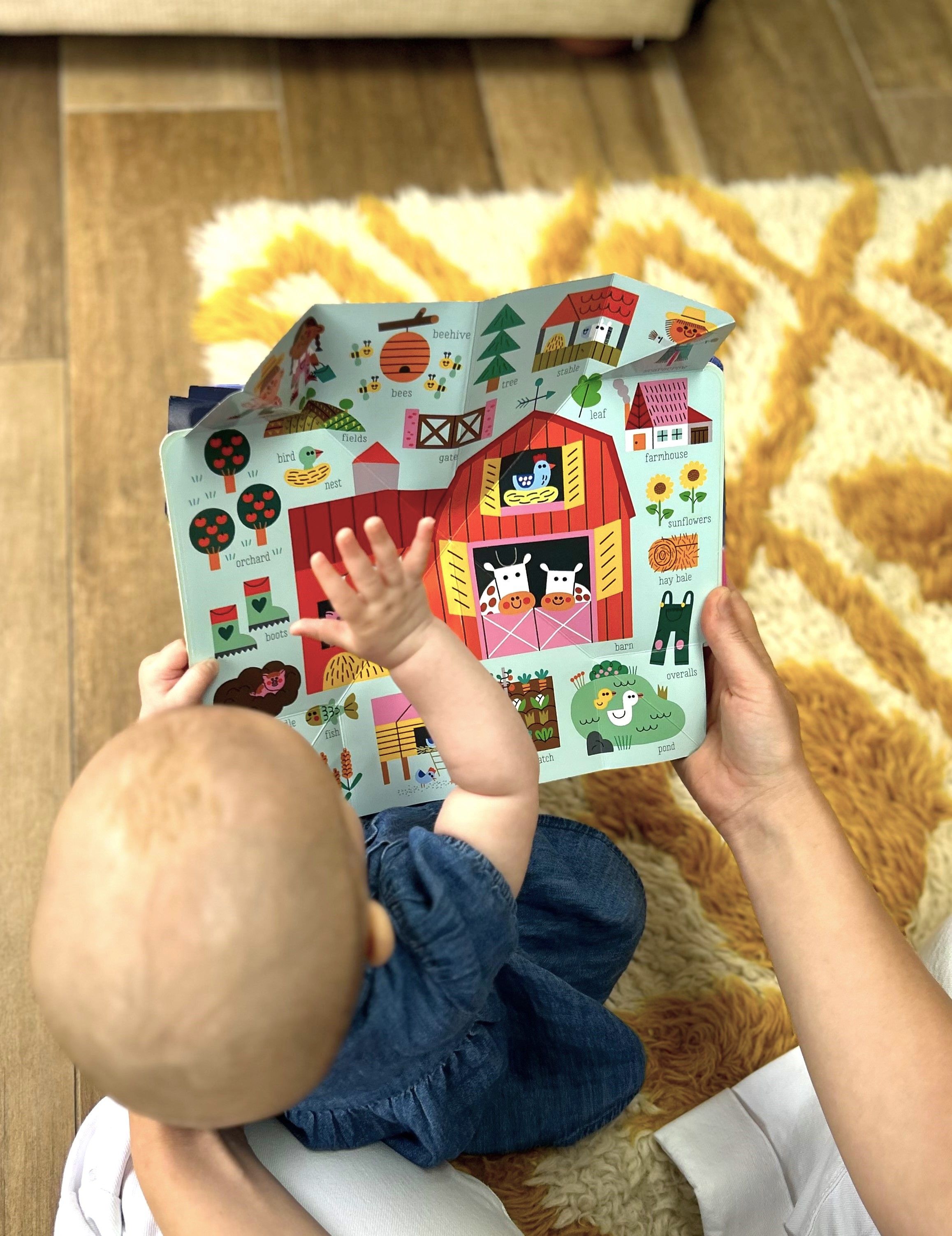 Novelty Books