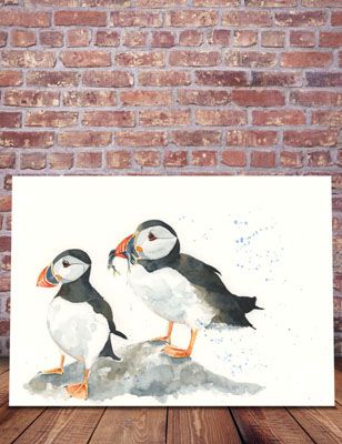 Puffins
