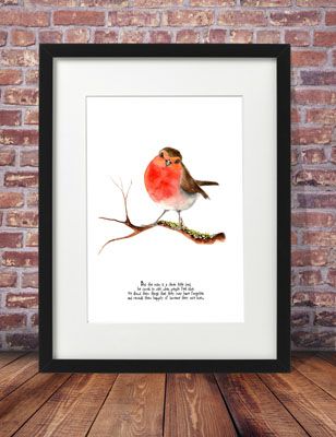 Bob the robin