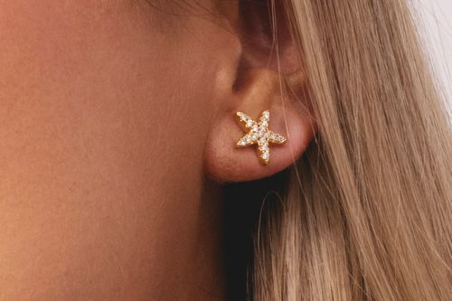 Silver & Gold earrings