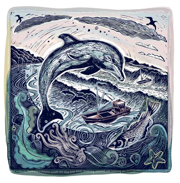 Chasing Fish Dolphin