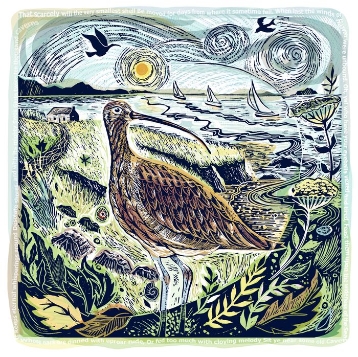 Eternal Whisperings Curlew