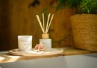 French Connection Sea Salt and Coconut Candle and Diffuser Set