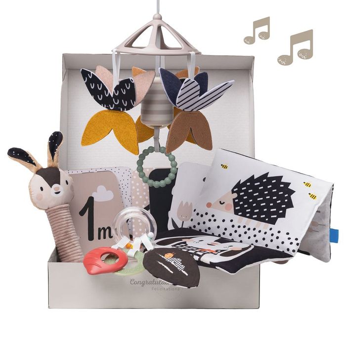 Taf Toys Black & White Gift Set