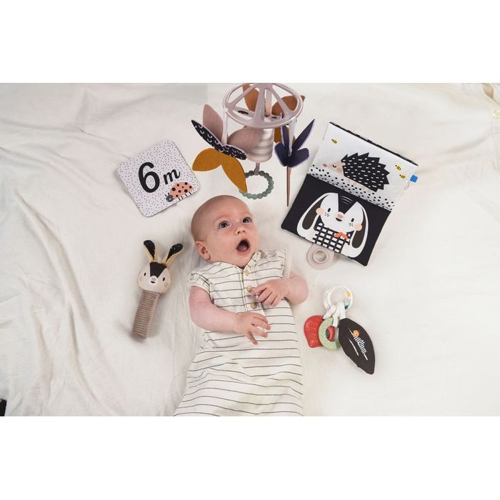 Taf Toys Black & White Gift Set