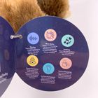 Cute Musical Sloth Plush Toy