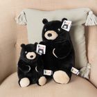 Bear Plush from The Art File
