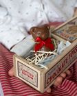 Arthur the Scrumptious Bear