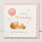 NEW Touch of Blush