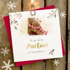 NEW Christmas Owls Nest