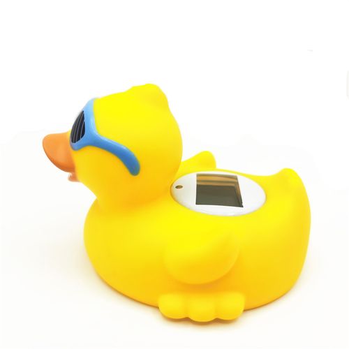 Bath Thermometer