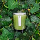 Green Botanical Range