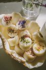 Botanical Puck Wax Melts
