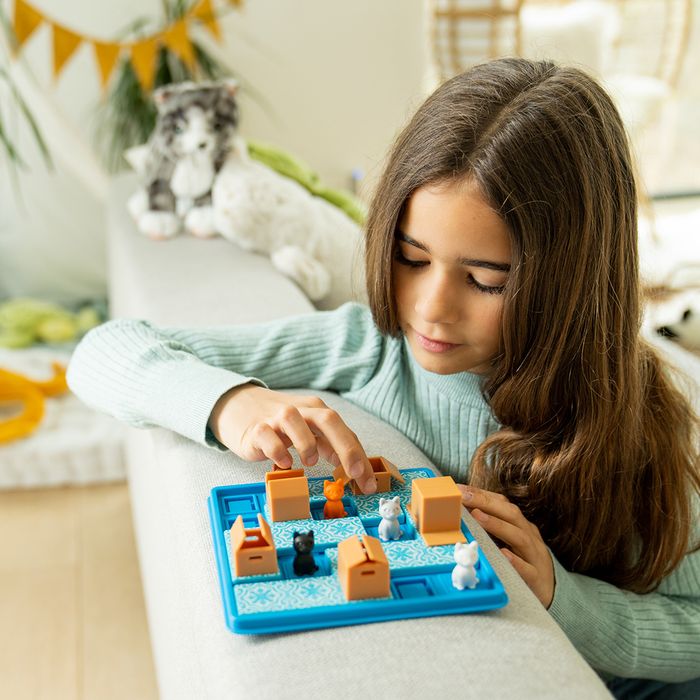 Smart Games - Cats & Boxes