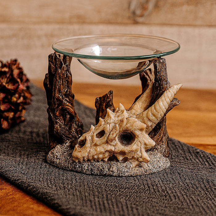 Oils & Burners