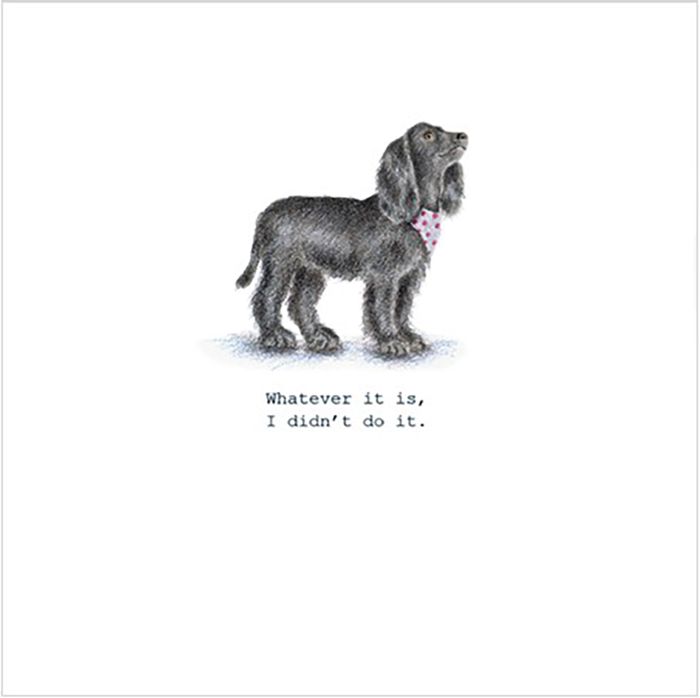 Maggie Mumford greeting cards range