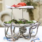 Octopus & Shell Server