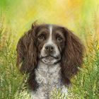Vicky Tucker greeting cards range