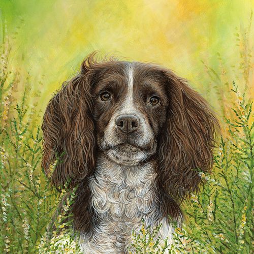Vicky Tucker greeting cards range